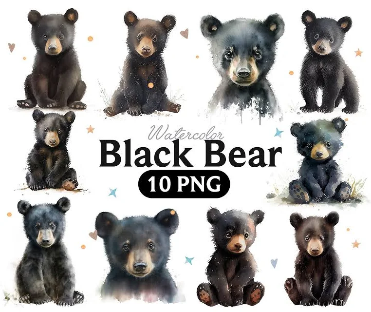Black Bear Watercolor Clipart, Cute Black Bear Graphics, Nursery Decor Wall Art, Black Bear Animal, Bear