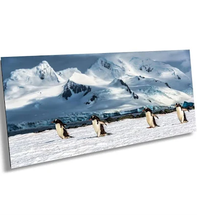 Antarctica Penguin Print, Glacier Mountain Landscape Photography