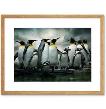Artery8 Emperor Penguin Birds Nature Animal Wildlife Photograph Artwork Framed Wall Art Print 12X16 Inch