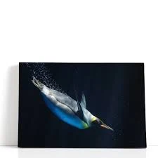 Framed Emperor Penguin Underwater Canvas Print – Wildlife Photography Wall Art Decor