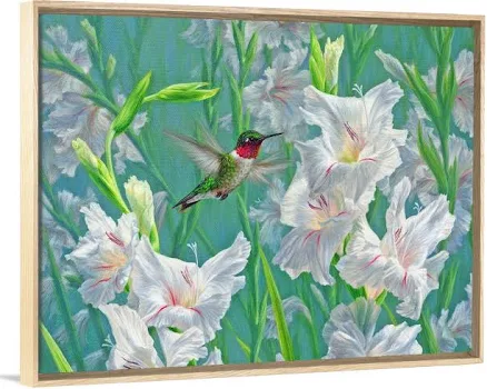 Garden Dance - Hummingbird And Gladiola V | Large Canvas, Natural Floating Frame Wall Art Print | Great Big Canvas