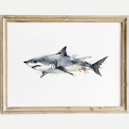 Great White Shark Watercolor