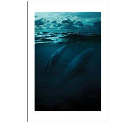 iCanvas Whales In Big Ocean Canvas Wall Art by Milos Karanovic