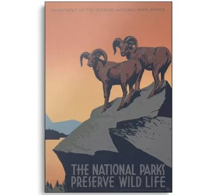 Library of Congress The National Parks Preserve Wild Life Metal Wall Art