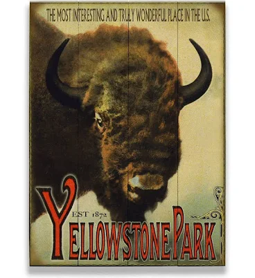 Yellowstone National Park Bison Wildlife Wall Sign