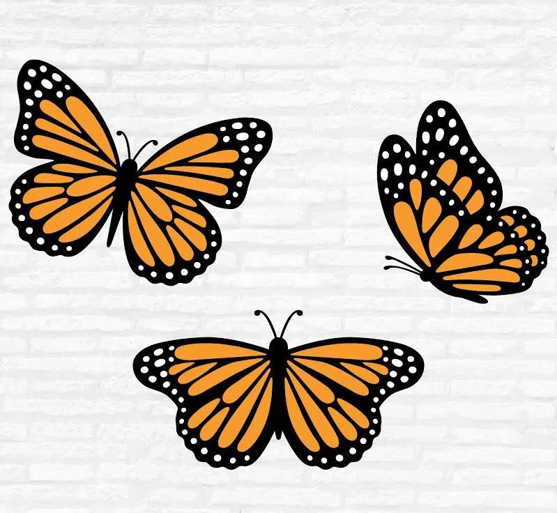 Monarch Butterfly SVG Bundle: Layered Cut Files (Digital Download)