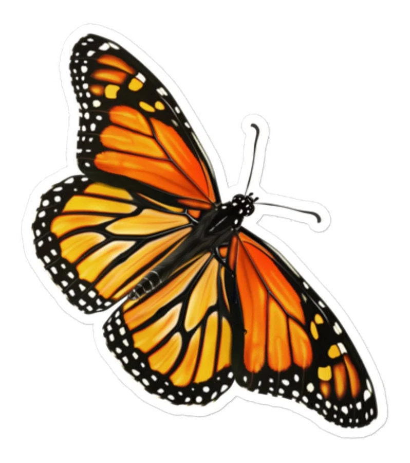 Monarch Butterfly Vinyl Sticker - Beautiful Insect Decal for Laptops, Water Bottles, Journals, Scrapbook and More
