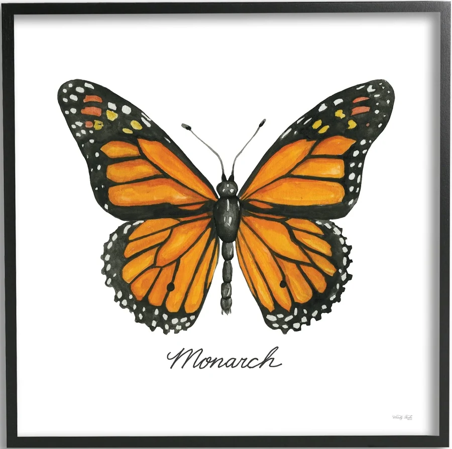 Stupell Framed Art Print MDF Casual Monarch Butterfly Design by Cindy Jacobs Black Frame 17"x17" Wall Art