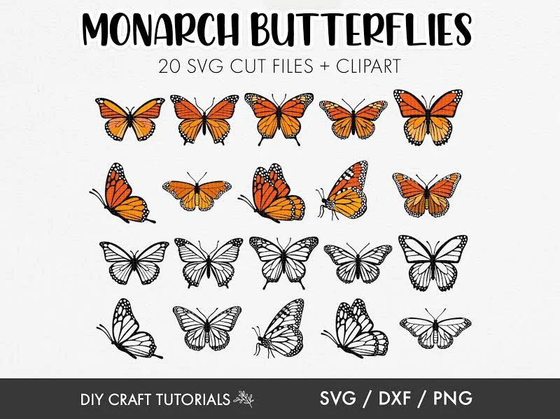 Monarch Butterfly SVG Bundle: Layered Cut Files
