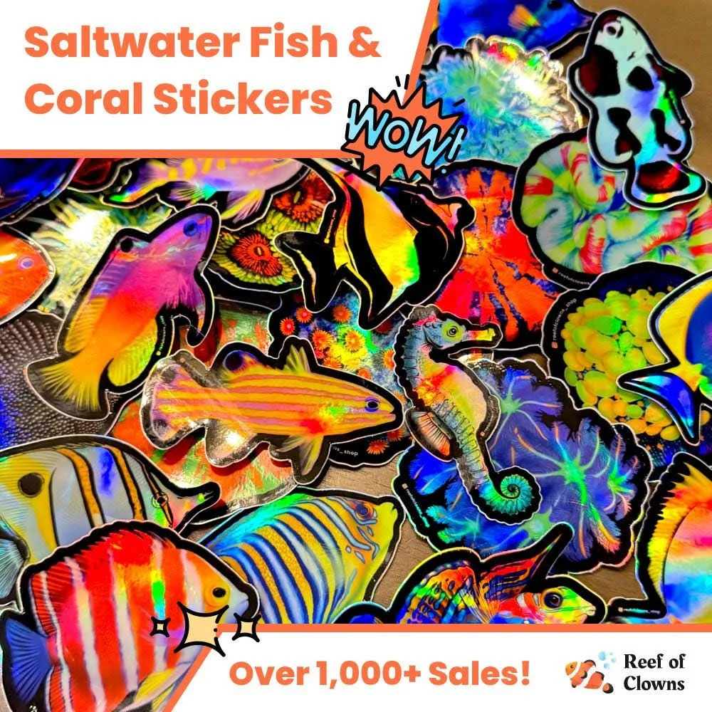 Vibrant Holographic Saltwater Fish & Coral Reef Stickers | Customize Your Aquarium Decor | Clownfish, Nemo, Fish Stickers