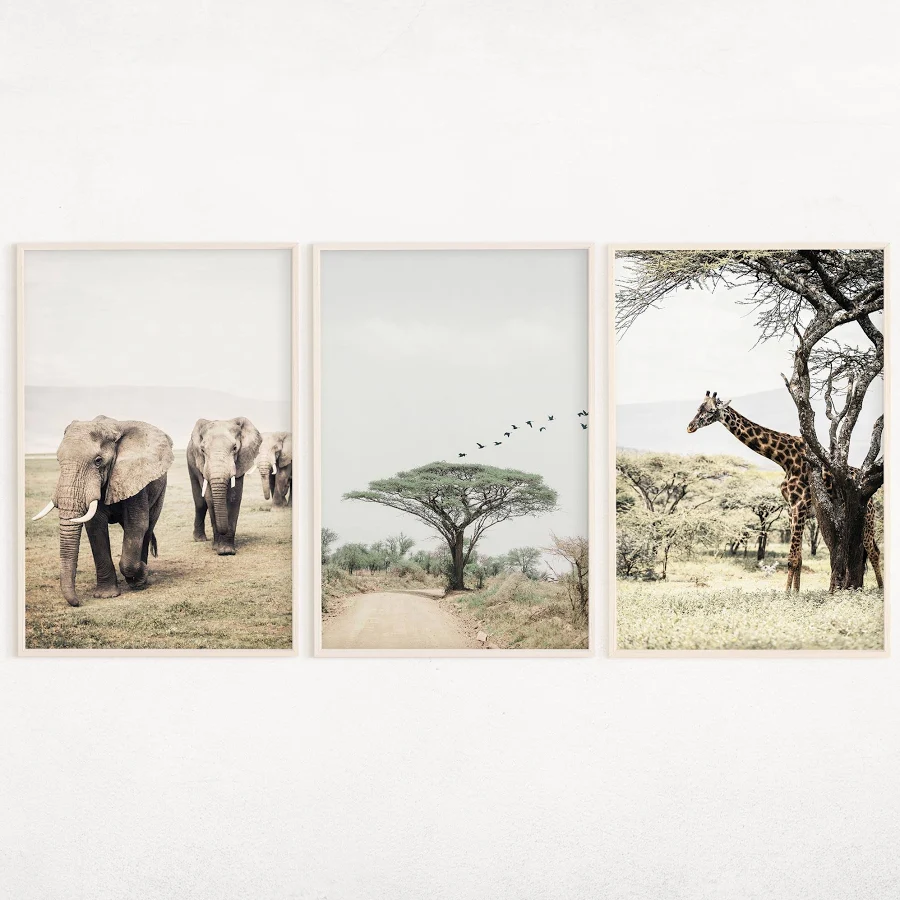 African Safari Animals Print Set of 3, Digital Elephant Poster, Giraffe Print Art