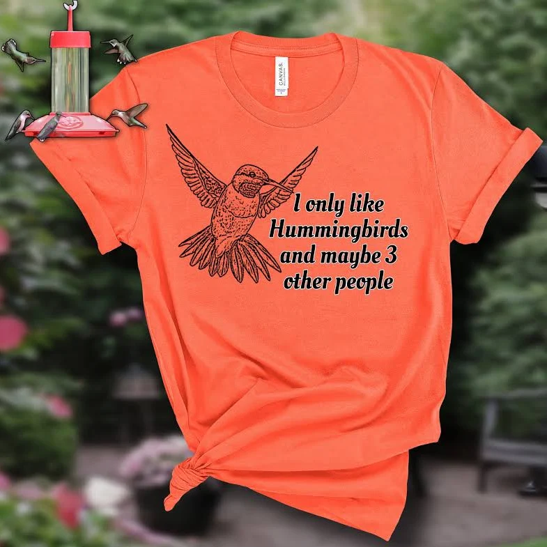 Funny Sarcastic Hummingbird Graphic Tshirt