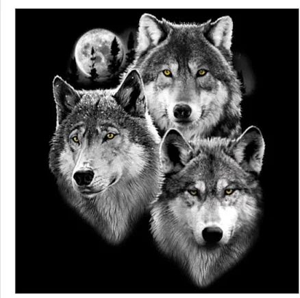 Realistic Wolf Graphic T-Shirt