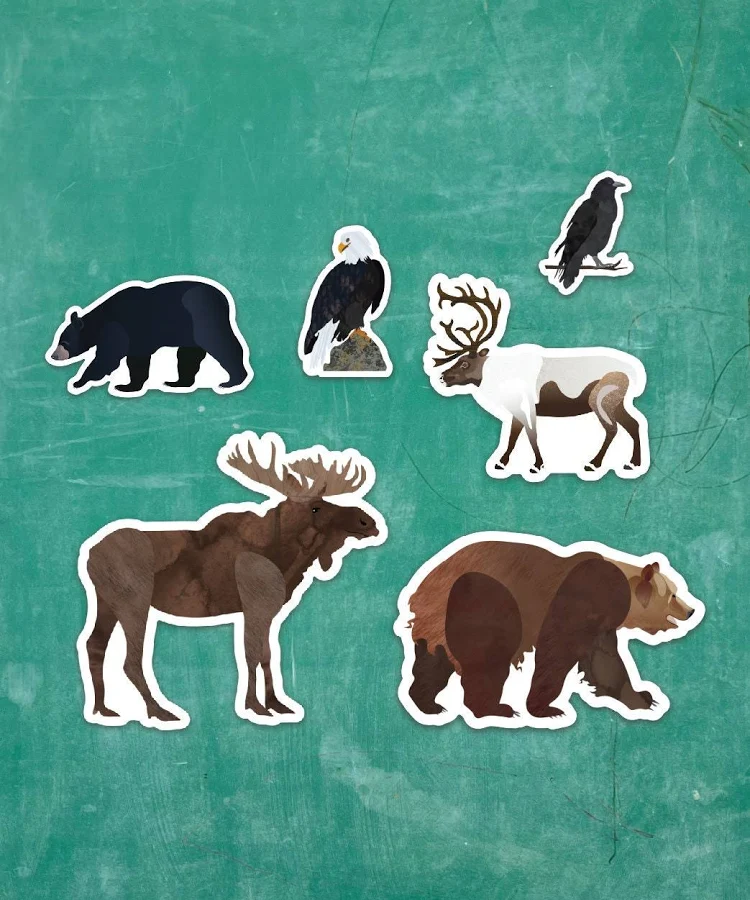 Alaska Wildlife Magnets