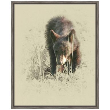 Black Forest Decor Young Black Bear Framed Canvas